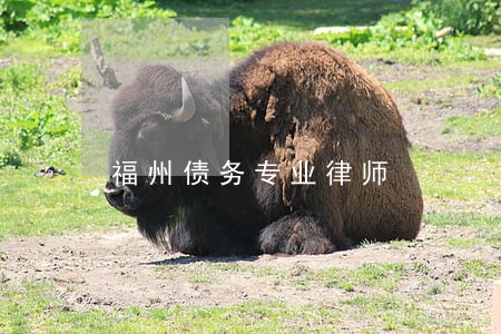 福州债务专业律师 福州债务专业律师