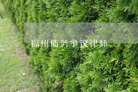 福州债务争议律师 福州债务争议律师