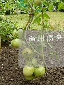 福州债务和债权律师咨询费用 福州债务和债权律师咨询费用
