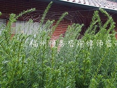 福州债务咨询律师咨询费用 福州债务咨询律师咨询费用