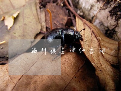 福州债务律师咨询 福州债务律师咨询