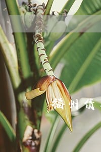 福州债务律师费用标准