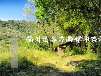 福州债务方面律师咨询 福州债务方面律师咨询