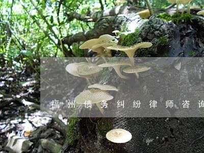 福州债务纠纷律师咨询费用 福州债务纠纷律师咨询费用
