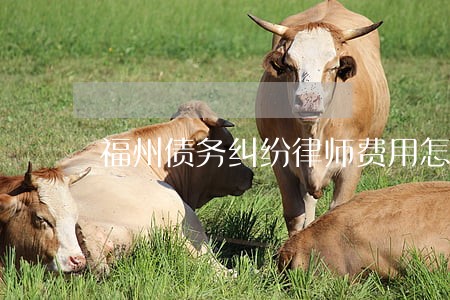 福州债务纠纷律师费用怎么付 福州债务纠纷律师费用怎么付