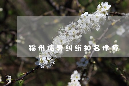 福州债务纠纷知名律师 福州债务纠纷知名律师