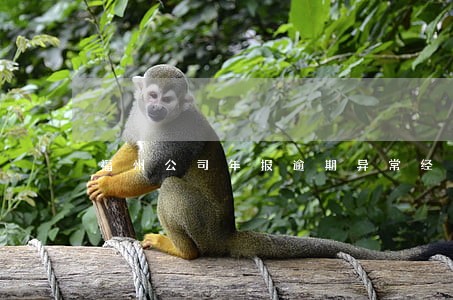 福州公司年报逾期异常经营 福州公司年报逾期异常经营