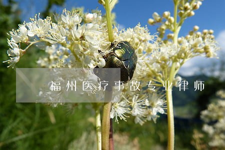 福州医疗事故专业律师 福州医疗事故专业律师