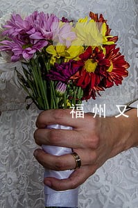 福州又曝光了155辆车违法行车 福州又曝光了155辆车违法行车
