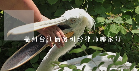 福州台江债务纠纷律师哪家好 福州台江债务纠纷律师哪家好