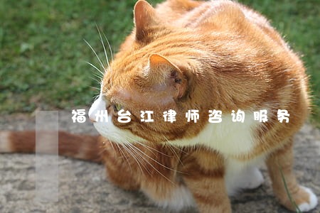 福州台江律师咨询服务 福州台江律师咨询服务