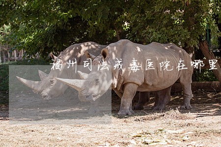 福州司法戒毒医院在哪里 福州司法戒毒医院在哪里