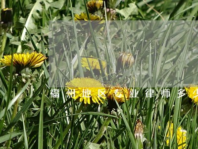 福州地区专业律师多少钱 福州地区专业律师多少钱