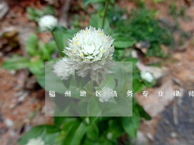 福州地区债务专业律师事务所 福州地区债务专业律师事务所