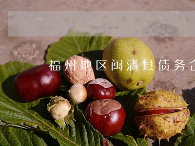 福州地区闽清县债务合同律师 福州地区闽清县债务合同律师