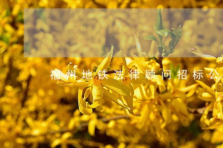 福州地铁法律顾问招标公告 福州地铁法律顾问招标公告