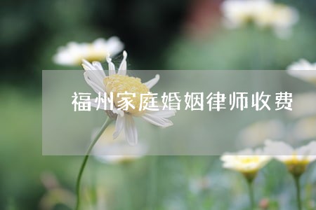福州家庭婚姻律师收费 福州家庭婚姻律师收费