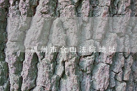 福州市仓山法院地址 福州市仓山法院地址