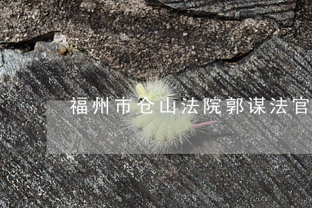 福州市仓山法院郭谋法官