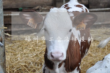 福州市工会法律援助 福州市工会法律援助