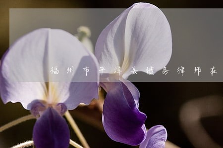 福州市平潭县债务律师在线咨询 福州市平潭县债务律师在线咨询