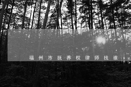 福州市抚养权律师找谁