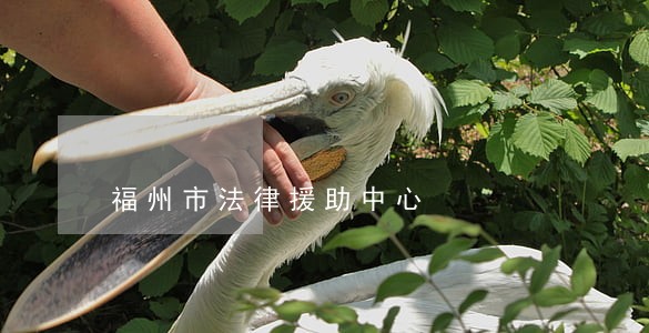 福州市法律援助中心 福州市法律援助中心
