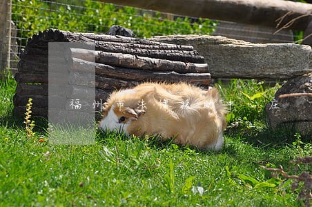 福州市法律援助中心庄 福州市法律援助中心庄
