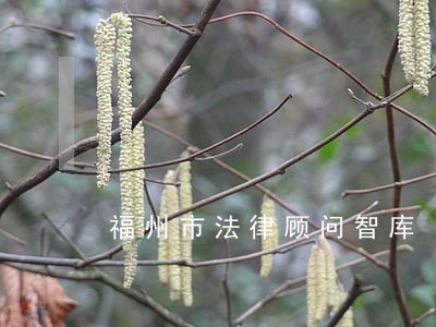 福州市法律顾问智库 福州市法律顾问智库