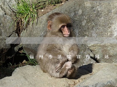 福州市法院官方网站