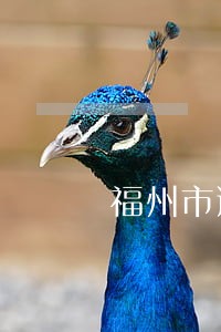 福州市逾期竣工违约金 福州市逾期竣工违约金