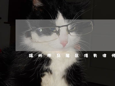 福州市马尾区债务律师咨询电话 福州市马尾区债务律师咨询电话