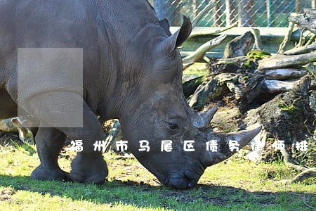 福州市马尾区债务律师排行 福州市马尾区债务律师排行