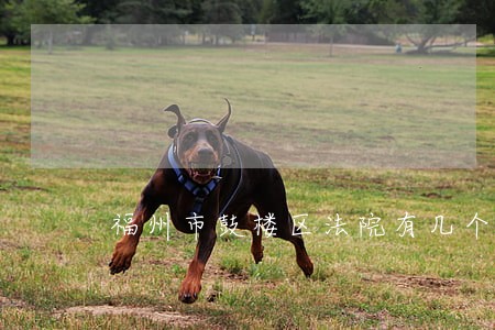福州市鼓楼区法院有几个法庭 福州市鼓楼区法院有几个法庭