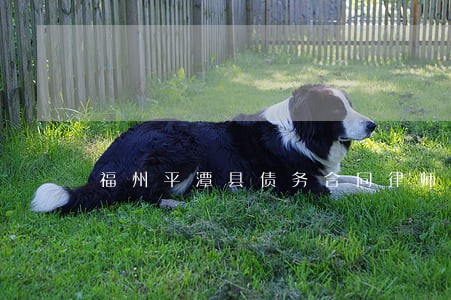 福州平潭县债务合同律师事务所 福州平潭县债务合同律师事务所