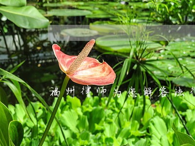 福州律师为您解答法律问题 福州律师为您解答法律问题