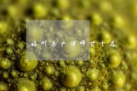 福州房产律师前十名 福州房产律师前十名