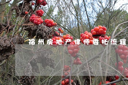 福州房地产律师委托流程 福州房地产律师委托流程