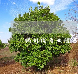福州找专业的房产律师 福州找专业的房产律师