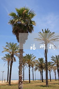 福州找拆迁赔偿律师咨询电话