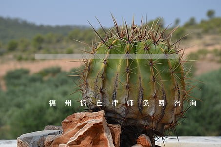 福州拆迁律师免费咨询 福州拆迁律师免费咨询