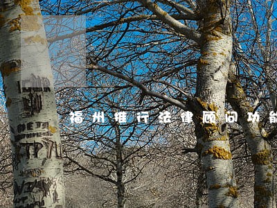 福州推行法律顾问功能 福州推行法律顾问功能