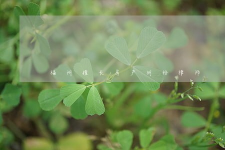 福州擅长房产纠纷律师 福州擅长房产纠纷律师
