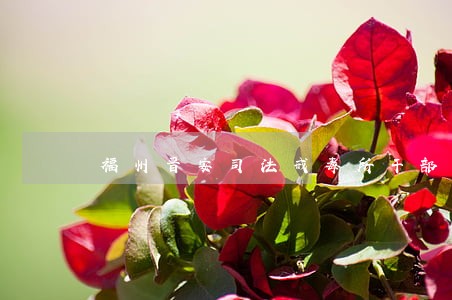 福州晋安司法戒毒所干部 福州晋安司法戒毒所干部