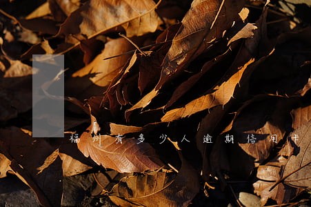 福州有多少人逾期信用卡