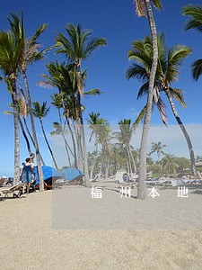 福州本地关押保释律师选哪个