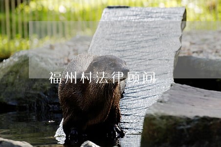 福州村法律顾问 福州村法律顾问