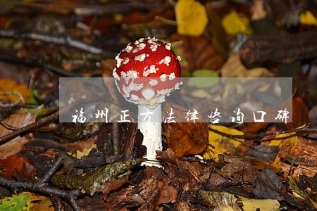 福州正方法律咨询口碑