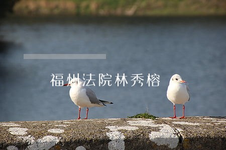 福州法院林秀榕 福州法院林秀榕