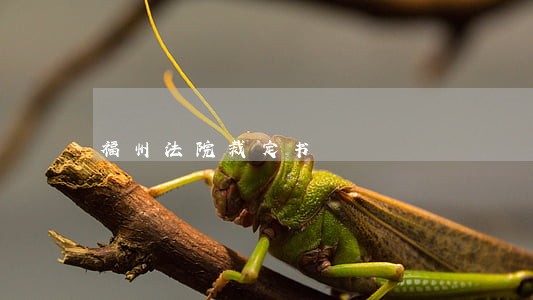 福州法院裁定书